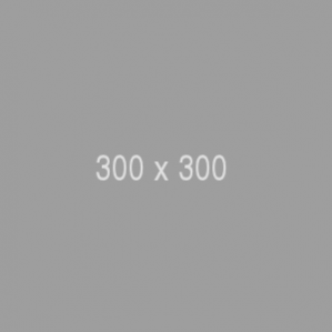 300x300